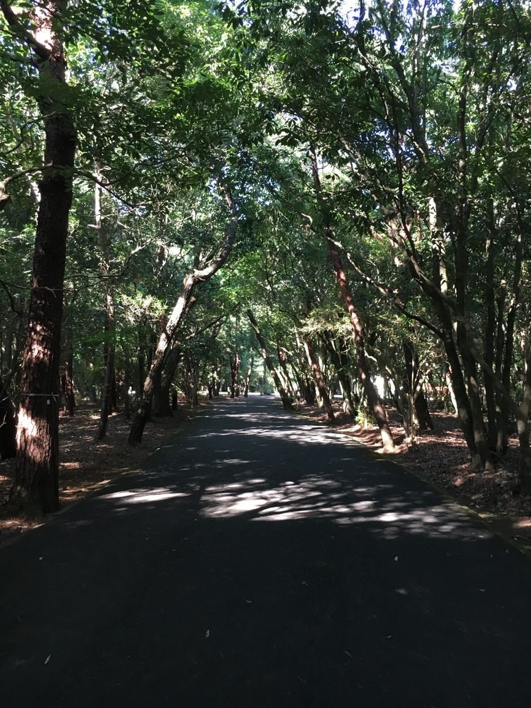 🏞️ 정화의 연못(미소기이케) 이미지 6
